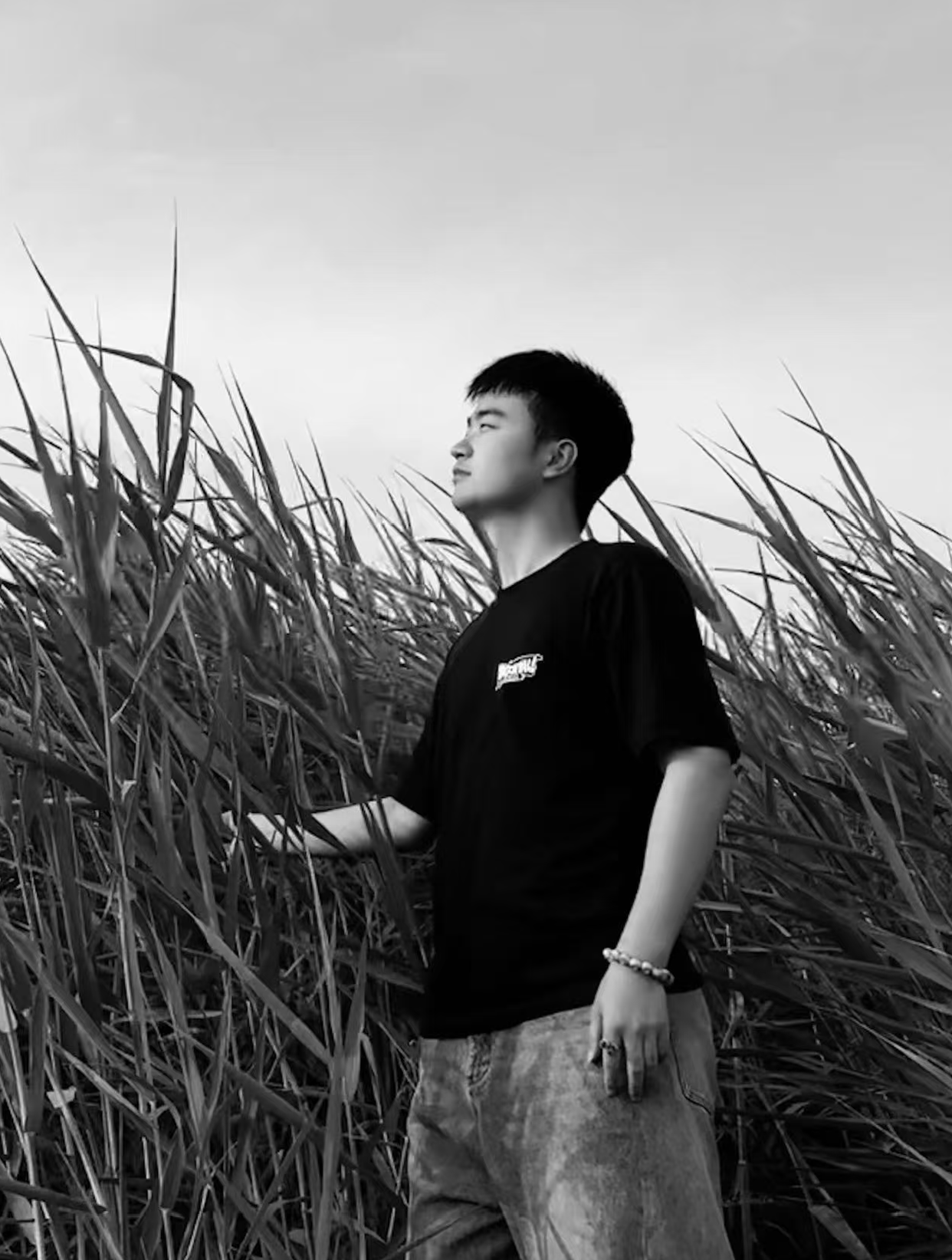 WUDASHU DESIGN CENTER portrait